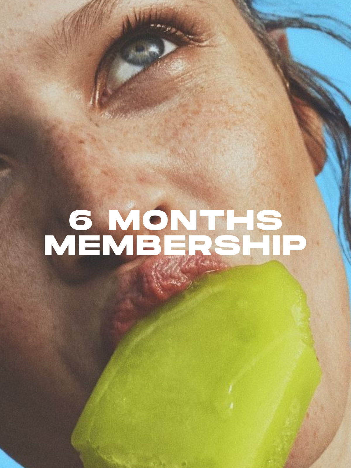 6-Month Plan