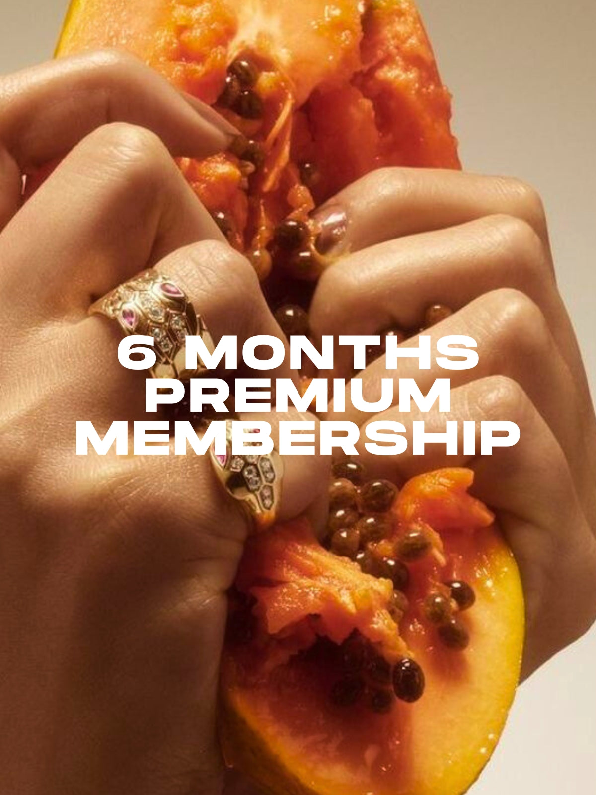 6-Month Premium Plan