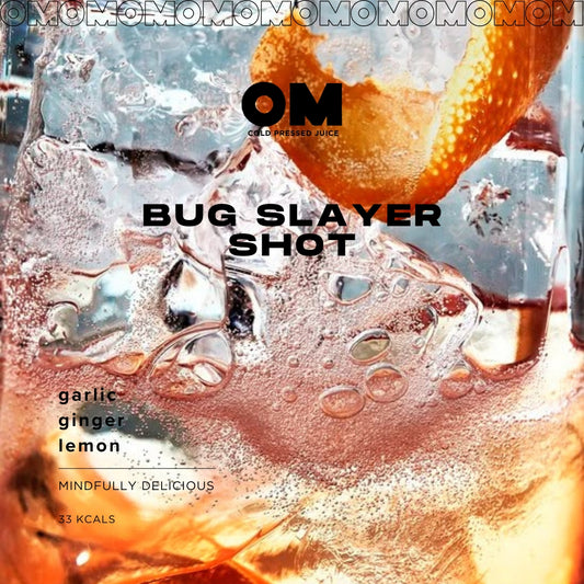 Bug Slayer